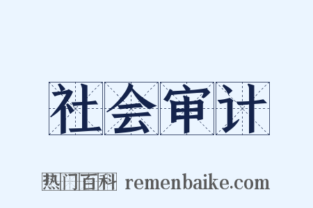 社会审计是什么意思的图片